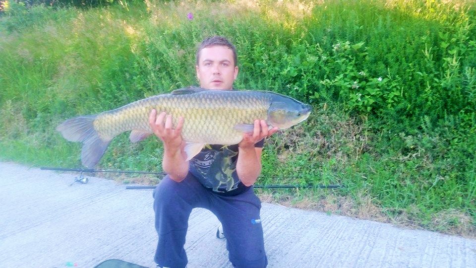 26_lb_Grass__carp_30.06.14 26_lb_Grass__carp_30.06.14