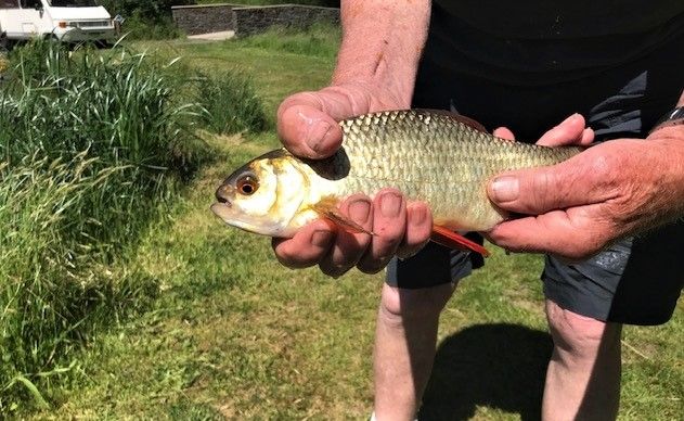 Alan_Roach_pic_IMG_1838_(2)