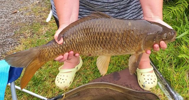 Sue_carp_sunday Sue_carp_sunday