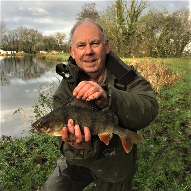 colin_perch_nov_19_(2)