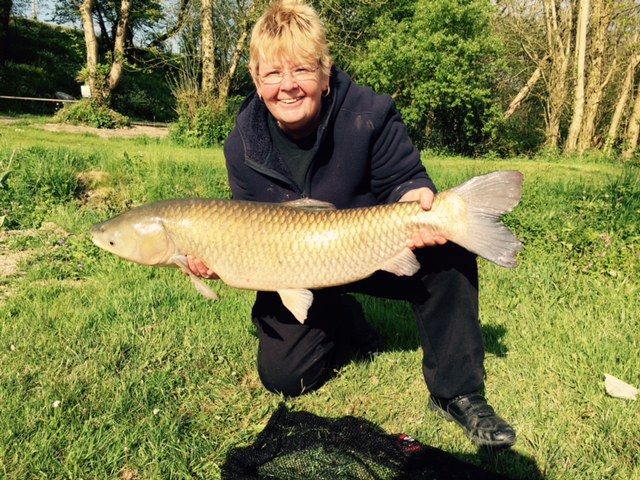 trish_grass_carp_14.05.16 trish_grass_carp_14.05.16