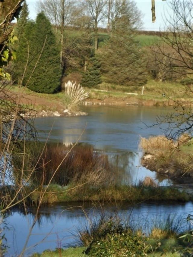 web_lakes_view_130975917_4694648810606956_5289966029098006259_n_(2)